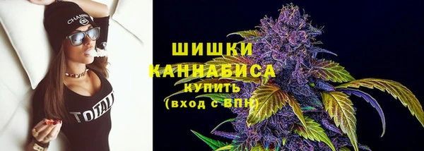 дживик Заводоуковск