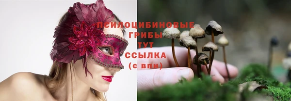 МДПВ Зеленокумск
