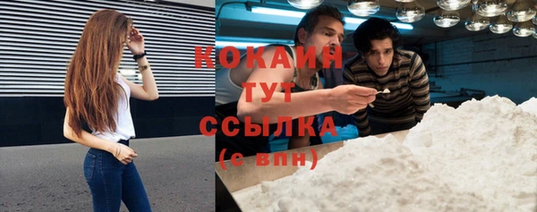 дживик Заводоуковск