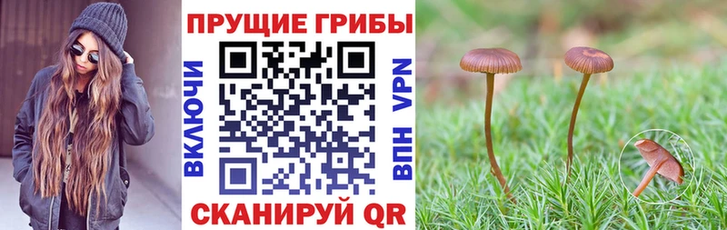 Галлюциногенные грибы GOLDEN TEACHER  Купить закладки  Южноуральск 